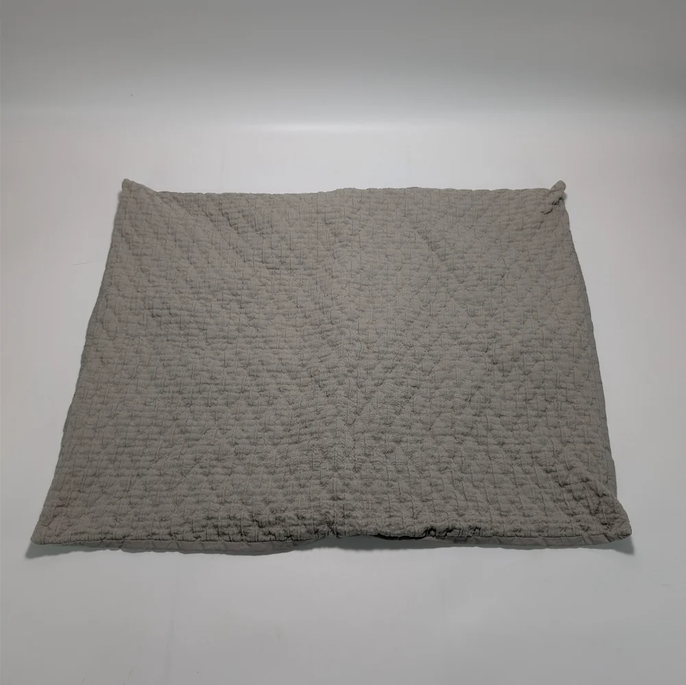 West Elm Organic Cotton Pillow Shams - Set Of 2 - 20x26